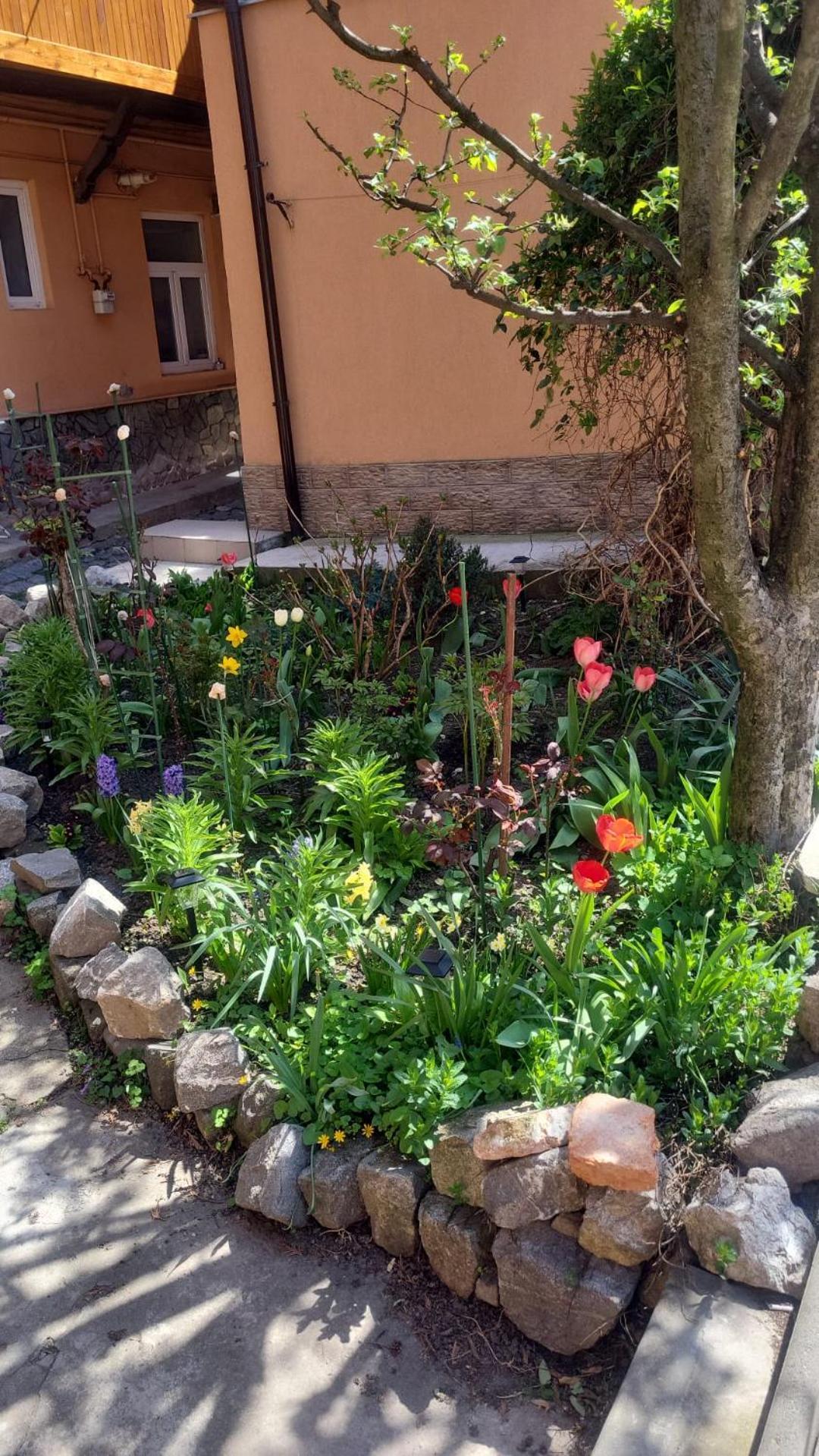 John Residence Apartment Brasov With Parking Option Luaran gambar